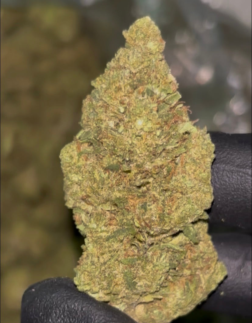 🍊 Orange Cream Pop THCa Flower – 31.25% THCa | Citrus Candy Hybrid