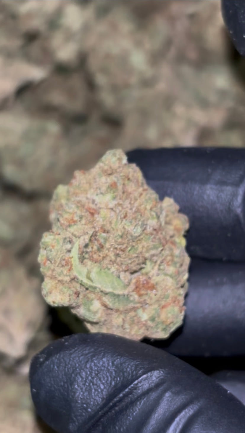 🍇 Jelly Cake THCa Flower – Sweet Berry Cake Flavor | Indica-Dominant Hybrid