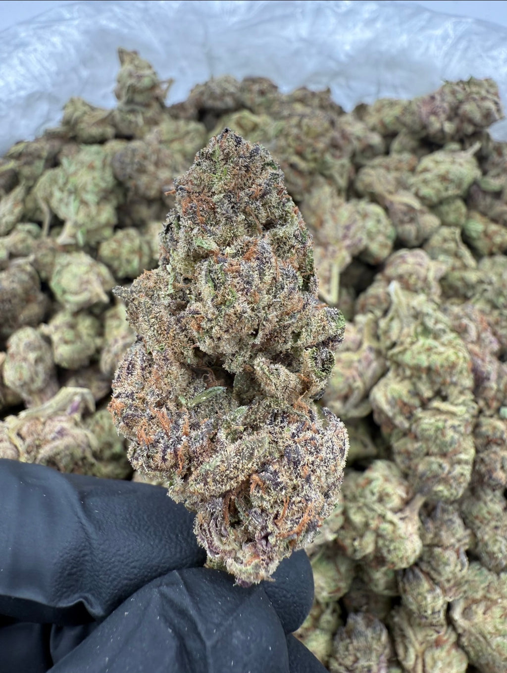🥜 Peanut Butter Breath (PB Breath) THCa Flower | 26.77% THCa | Premium Hybrid | 28g/QP