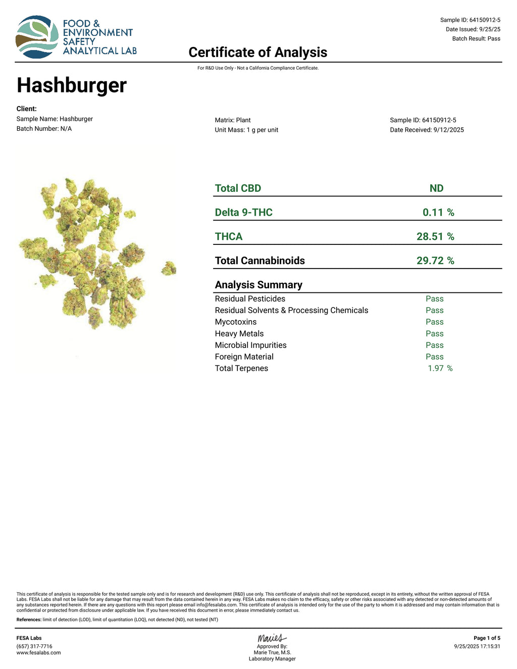 Hashburger THCa Flower (28g) 🍔⛽ | 28.51% THCa | Premium Ounce