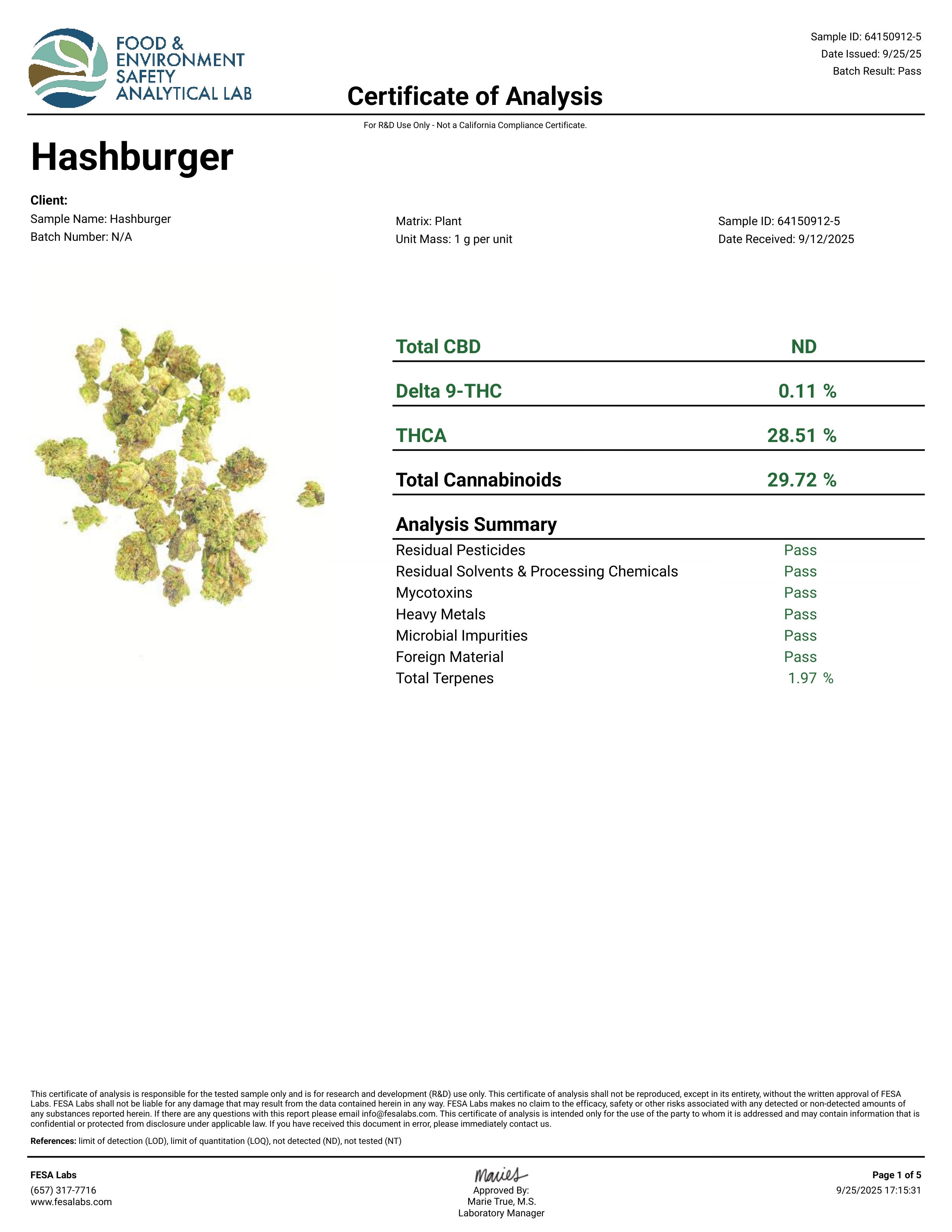 Hashburger THCa Flower (28g) 🍔⛽ | 28.51% THCa | Premium Ounce