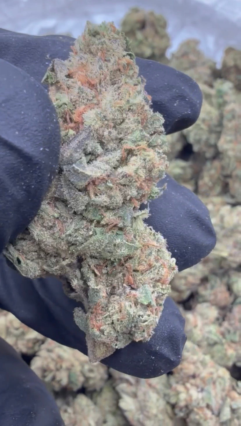 🍋🍒 LCG x Runtz THCa Flower | Lemon Cherry Gelato x Runtz | Premium Hybrid | 28g / QP