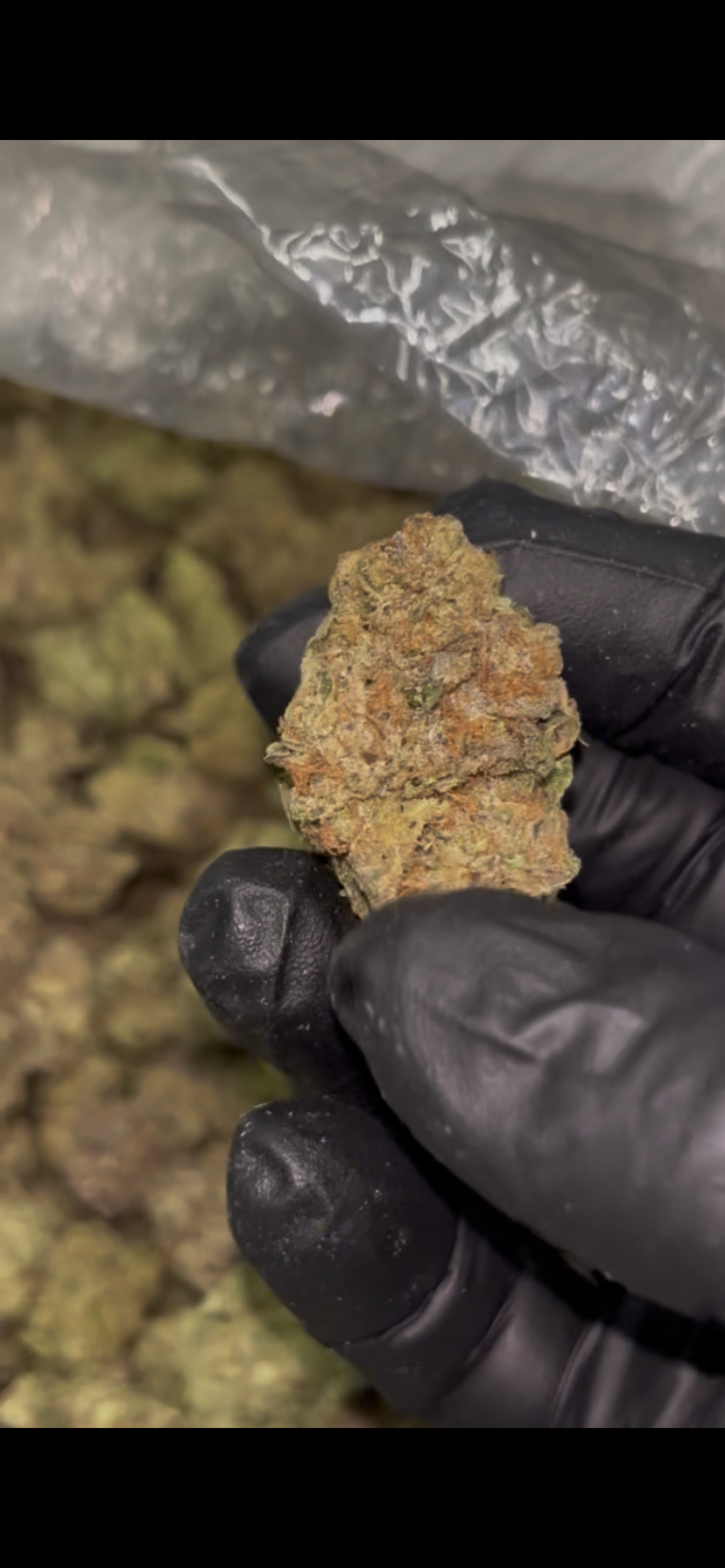 🍇 Velvet Punch 32.97% THCA Flower – Indoor QP (4 Ounces) | Purple Punch × Purple Kush 💜🥊