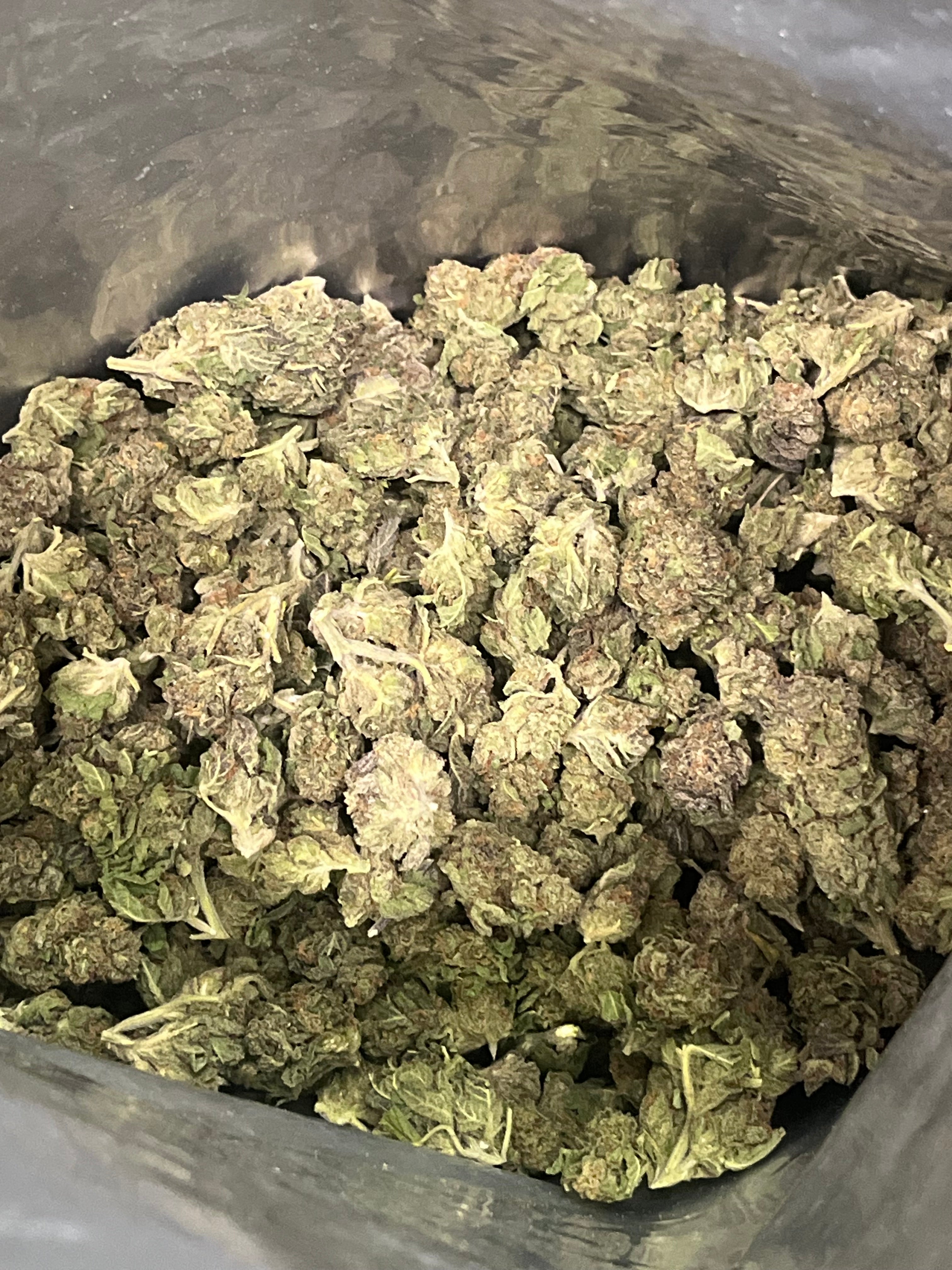 🍑 Peach Runtz THCa Flower 28g | Premium Hybrid Hemp Flower | 25.63% THCa |