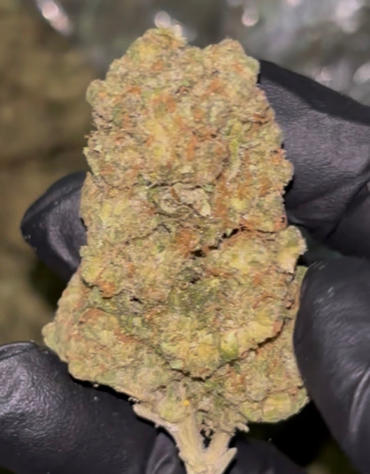 👑 Khalifa Kush (KK) THCa Flower – 31.86% THCa | Premium OG Legacy Flower