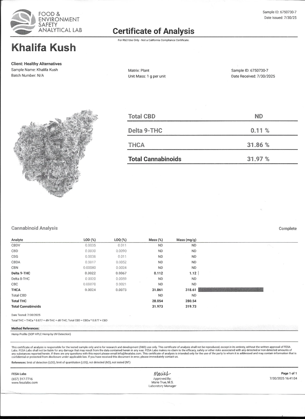 👑 Khalifa Kush (KK) THCa Flower – 31.86% THCa | Premium OG Legacy Flower