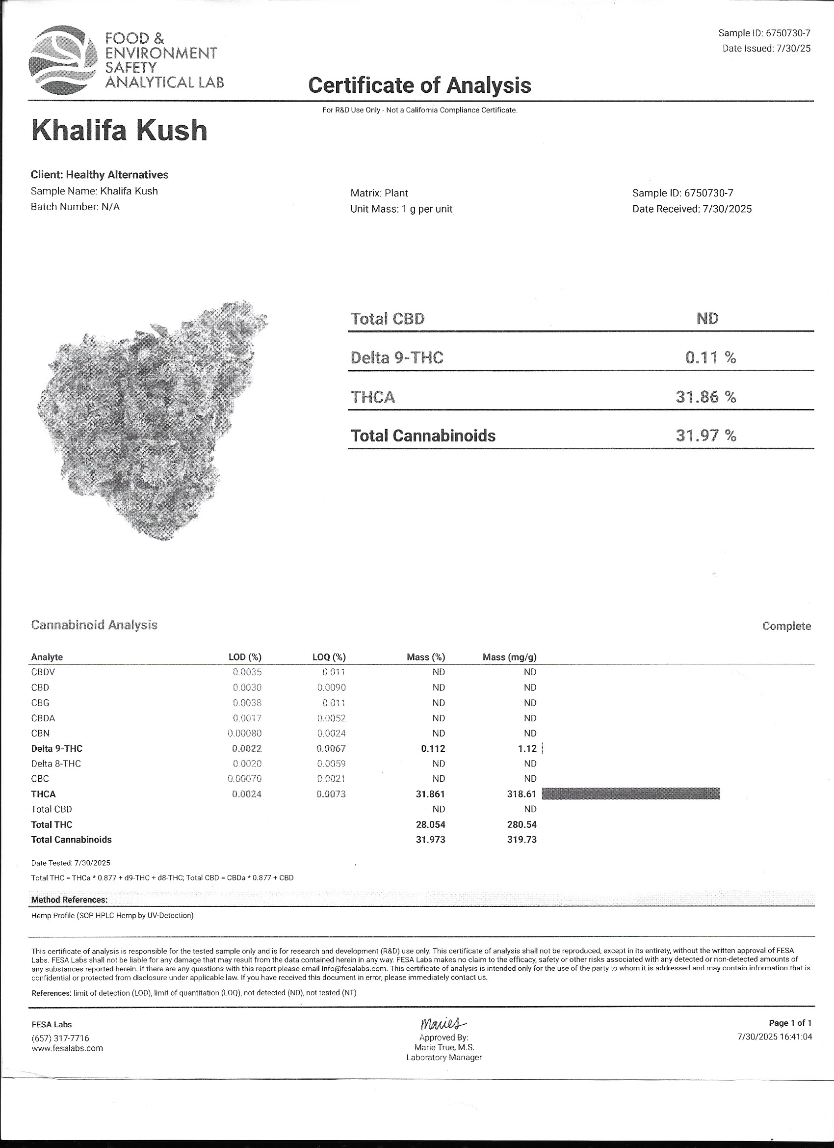 👑 Khalifa Kush (KK) THCa Flower – 31.86% THCa | Premium OG Legacy Flower