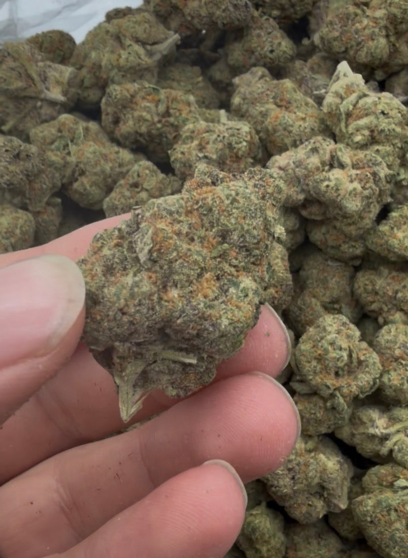 🫐🍬 Blue Skittlez Premium Hybrid THCA Flower | 28G & QP | Sweet Berry Candy Terpenes 🌿🔥