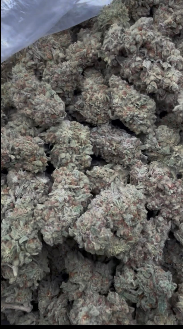 🍩 Frosted Donutz THCa Flower (28g or QP)| Premium Hybrid Flower | Sweet Dessert Terpenes
