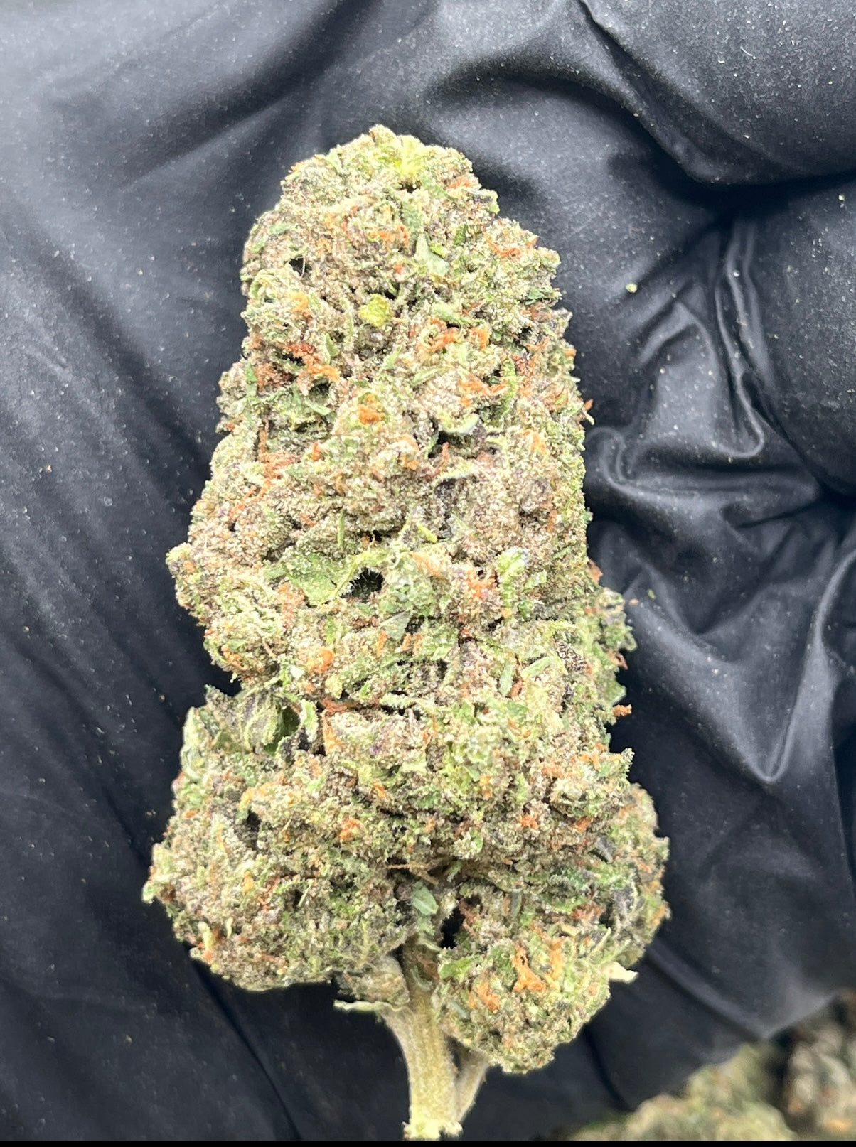 🚀 Jet Fuel THCa Flower | Premium Gas-Fueled Hybrid | 28G/QP