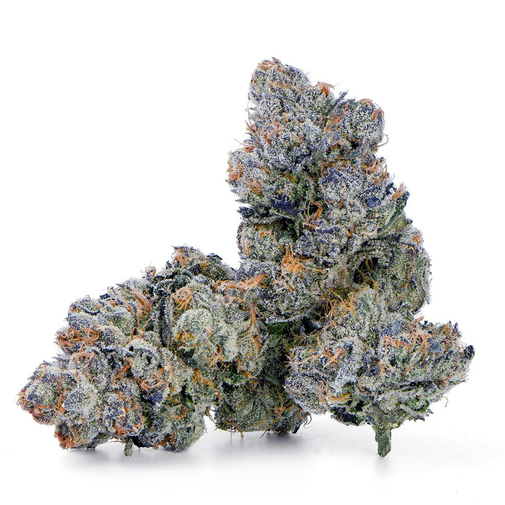 Pierx Supply Blue Nerdz (INDOOR EXOTICS)