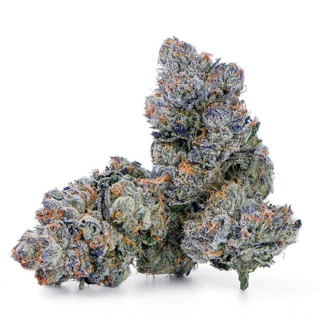 Pierx Supply Blue Nerdz (INDOOR EXOTICS)