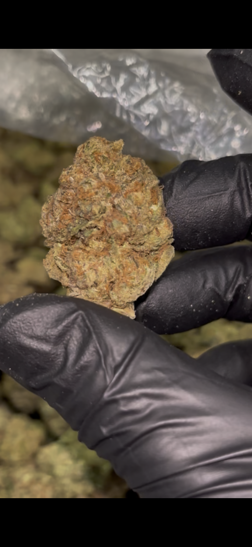 🍇 Velvet Punch 32.97% THCA Flower – Indoor QP (4 Ounces) | Purple Punch × Purple Kush 💜🥊