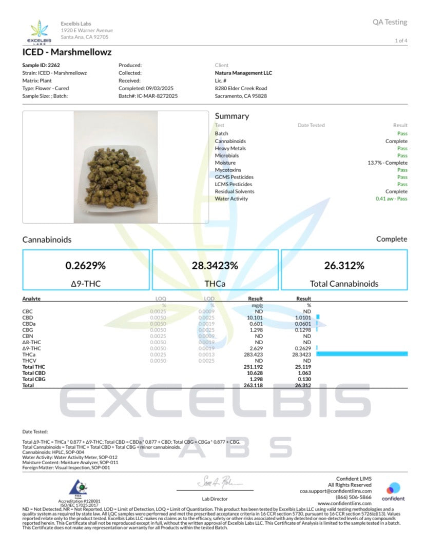 ICED Jarred Infused Flower 3.5g Marshmellowz (Sativa)