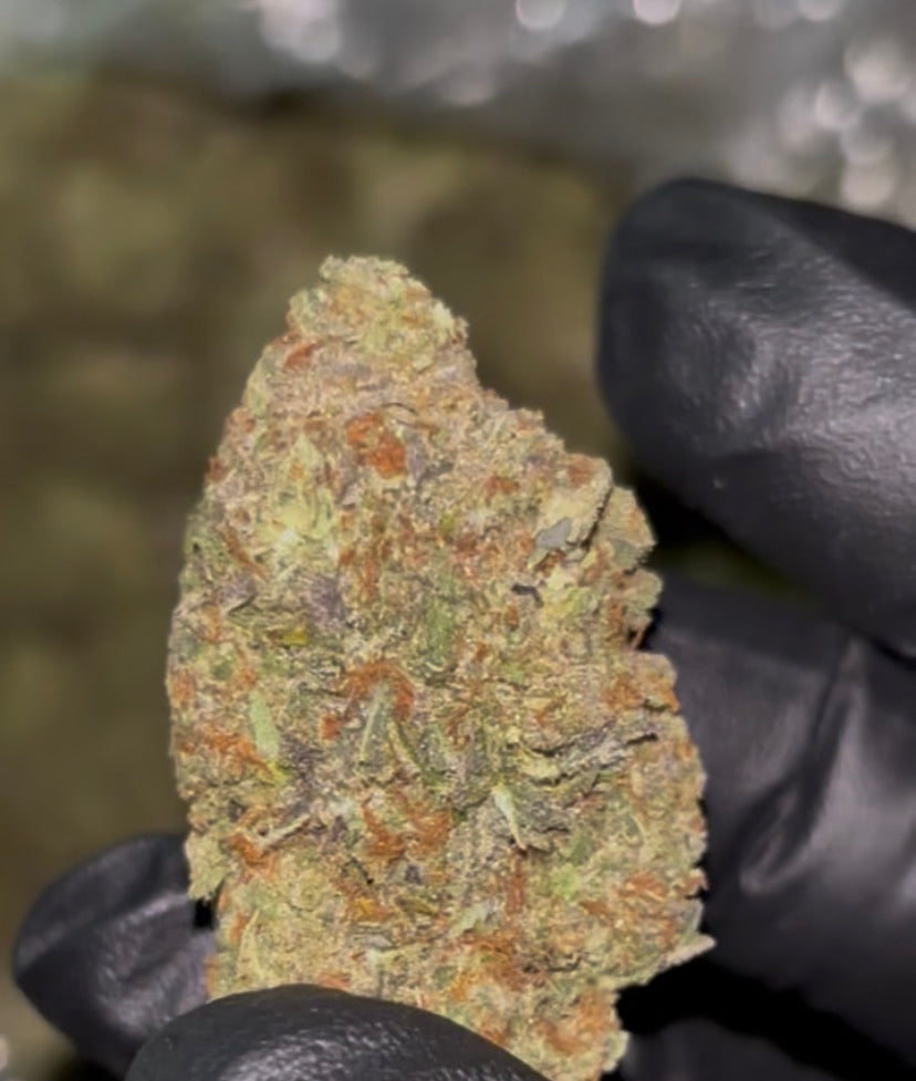 🍋 Lemon Crème THCa Flower – 30.66% THCa | Citrus Dessert Hybrid