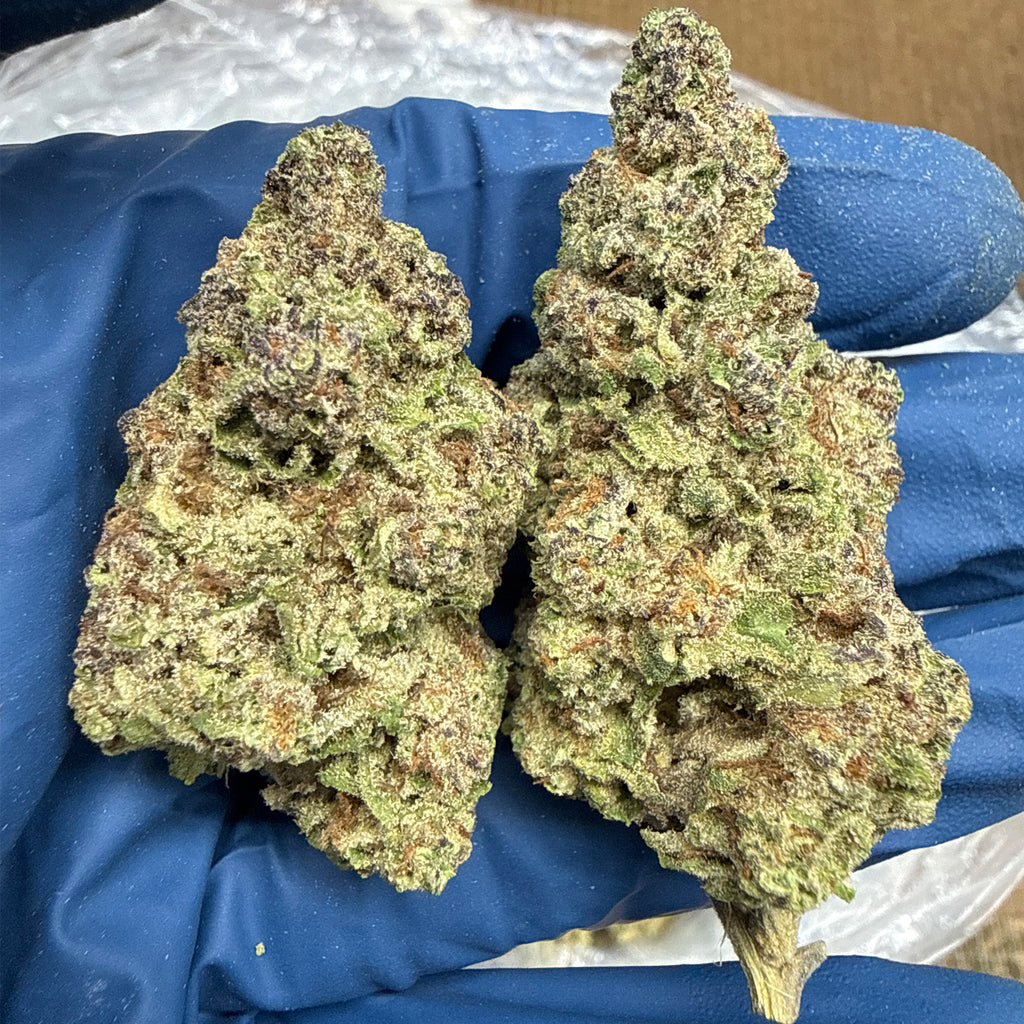 🌌 GMO Grapes THCa Flower 🍇🔥 | Indica Powerhouse | Premium Ounce | 27.12% THCa