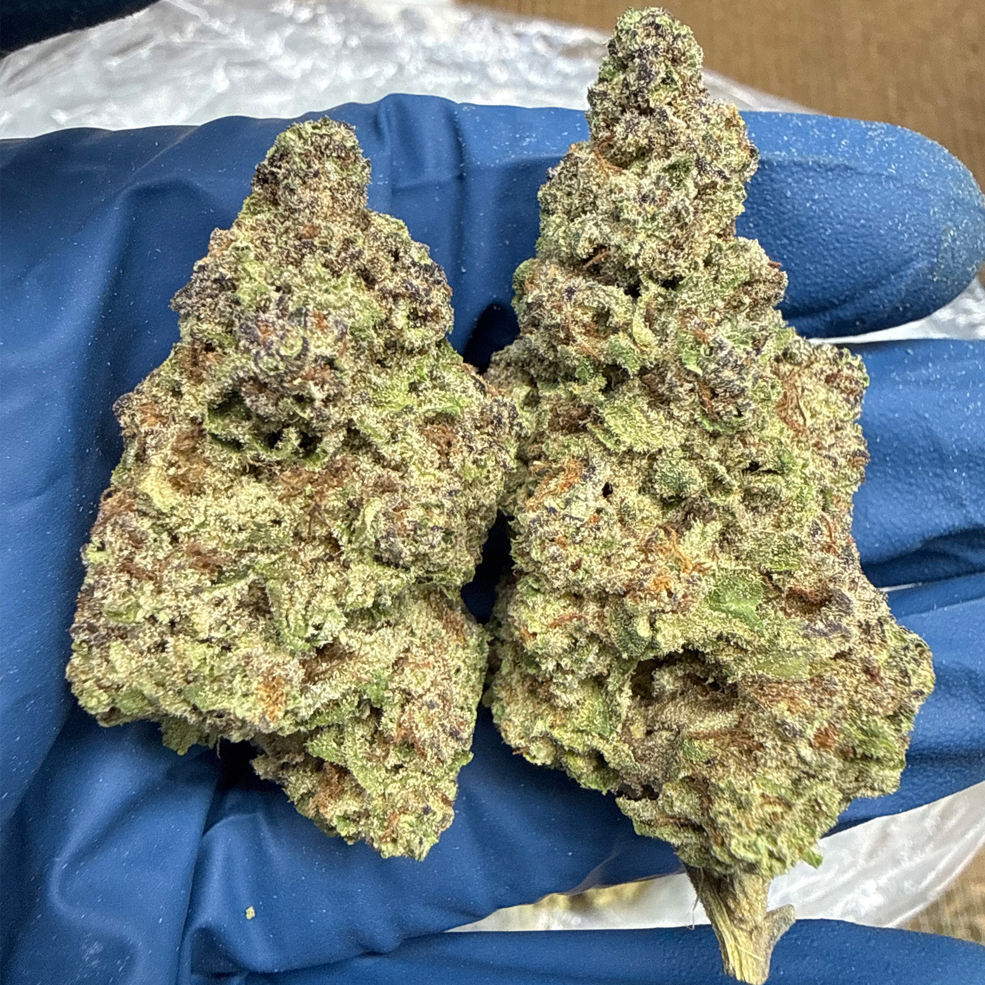 🌌 GMO Grapes THCa Flower 🍇🔥 | Indica Powerhouse | Premium Ounce | 27.12% THCa