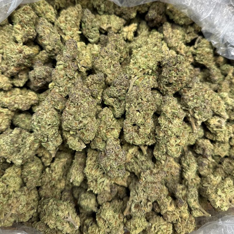 🌌 GMO Grapes THCa Flower 🍇🔥 | Indica Powerhouse | Premium Ounce | 27.12% THCa
