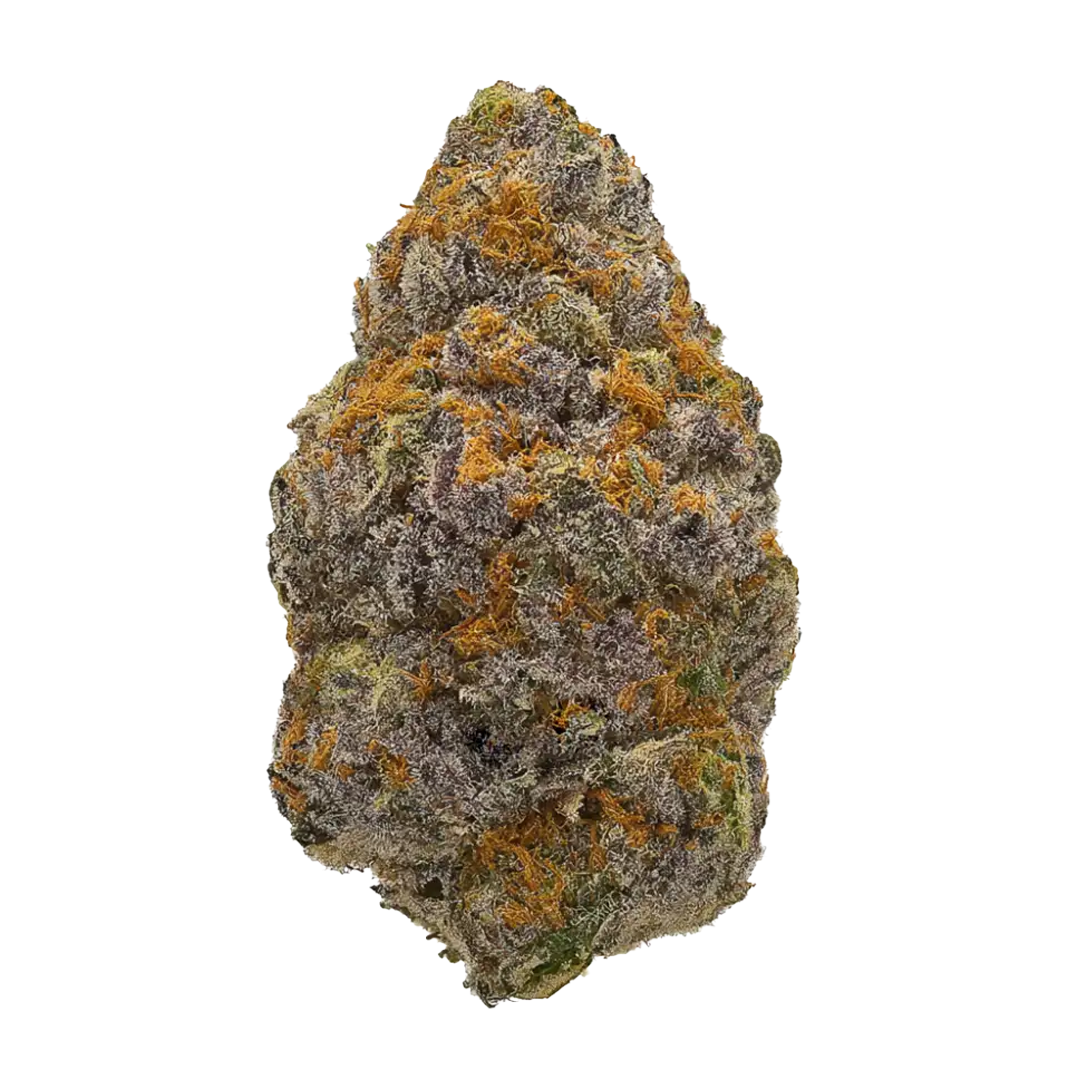 Pierx Supply Chroma (INDOOR EXOTICS)