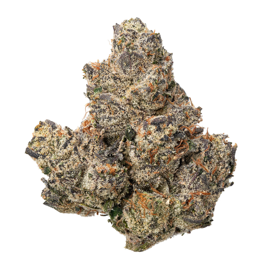 Pierx Supply Louis Lobster (INDOOR EXOTIC)