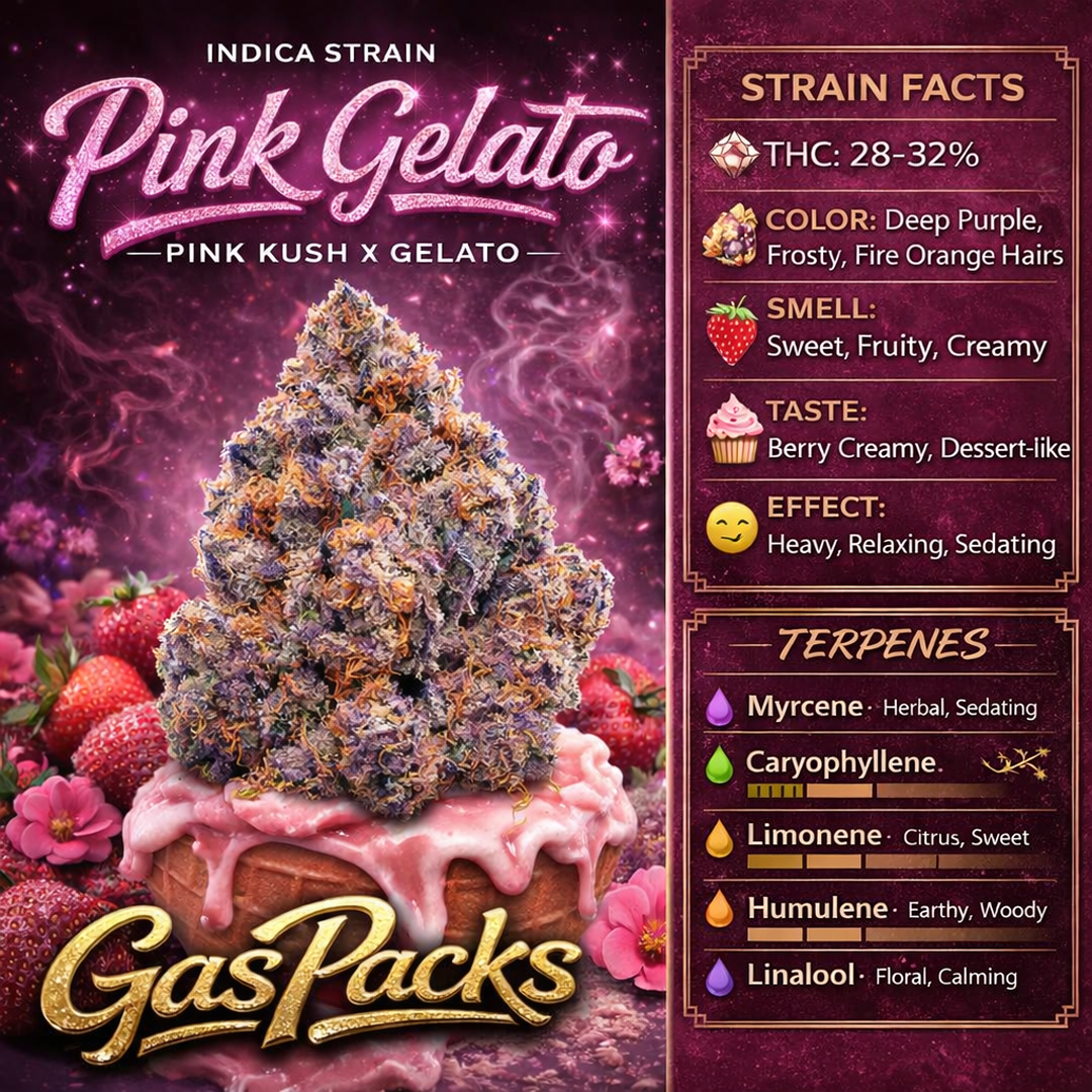 Pierx Supply Pink Gelato (INDOOR Exotic) 3.5g