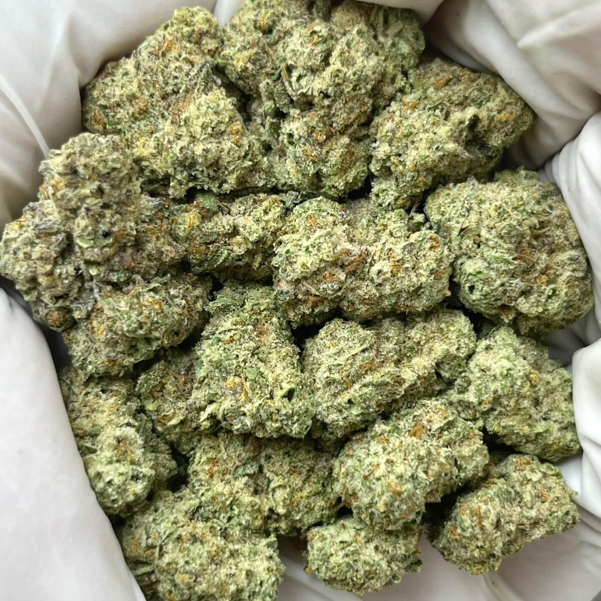 Gary Payton THCa | Premium Indoor Exotic Flower