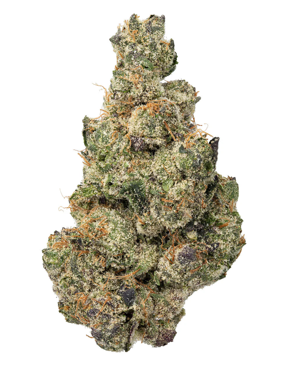 Gary Payton THCa | Premium Indoor Exotic Flower