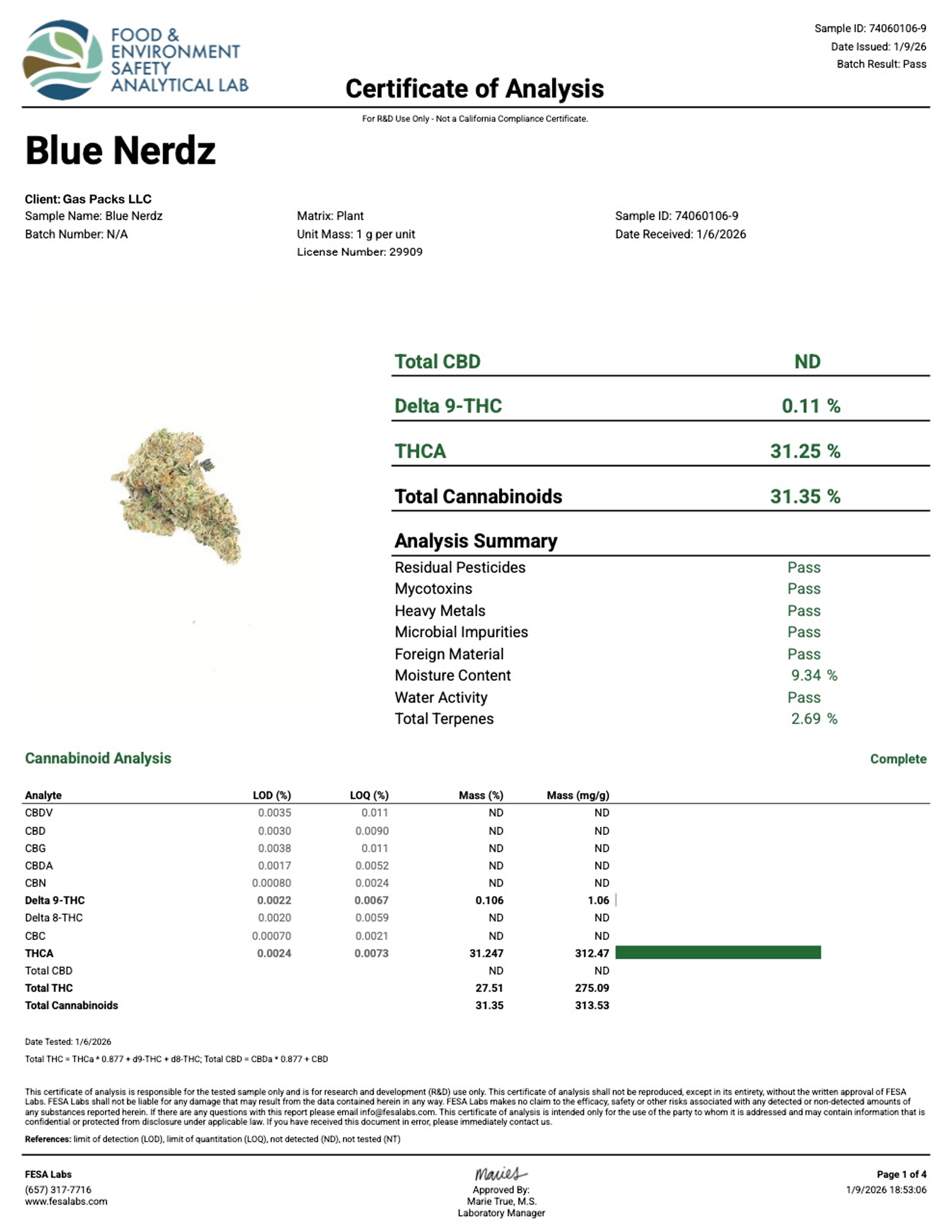 Pierx Supply Blue Nerdz (INDOOR EXOTICS)