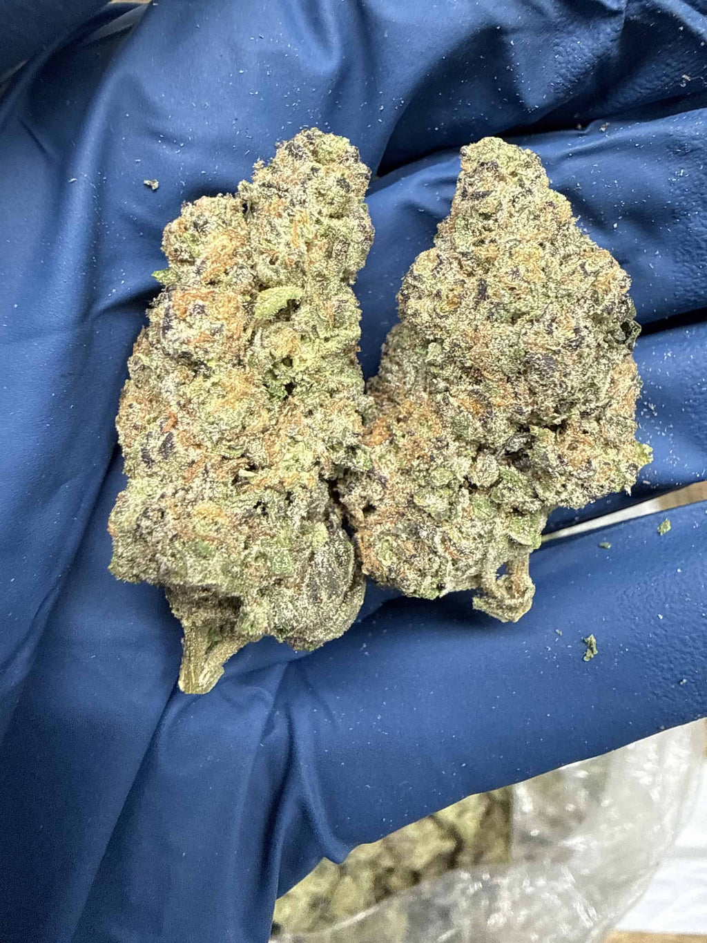 Girl Scout Cookies THCa Flower – 27.78% THCa | Indica 7g x 28g