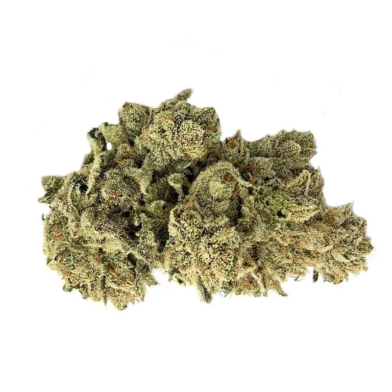 Gorilla Glue #4 THCa Flower | 31.90% THCa | Premium Exotic | Indica 28g