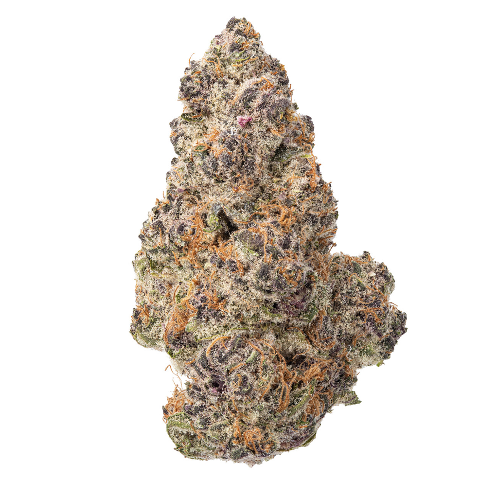 Pierx Supply Hans Solo