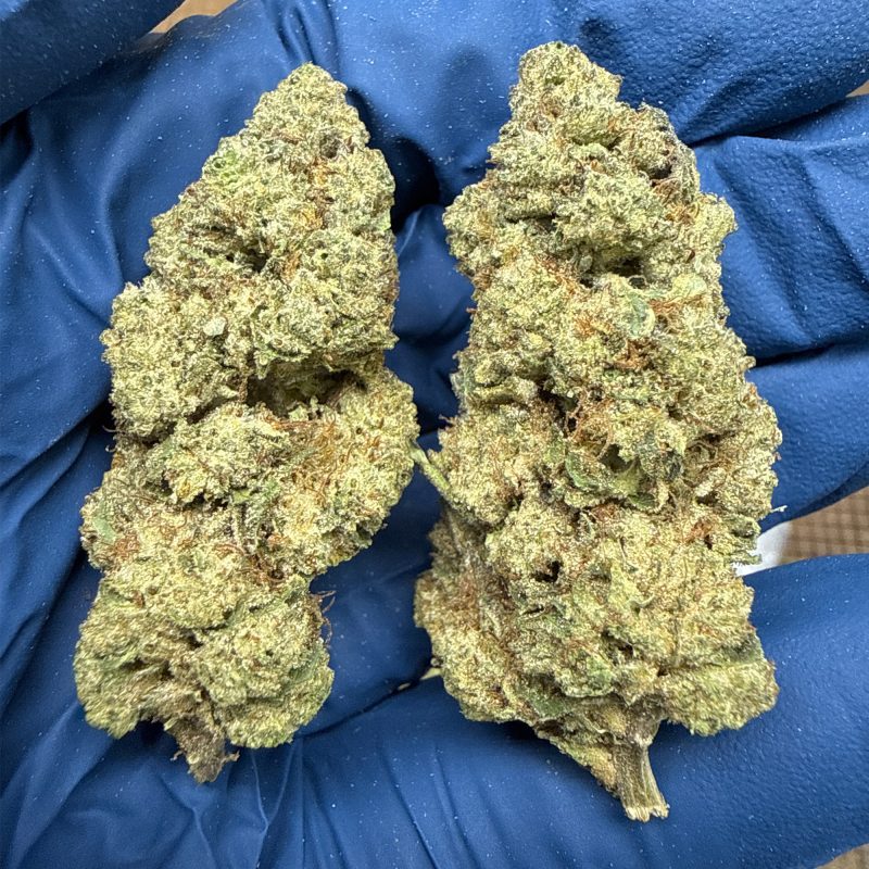 Hashburger THCa Flower (28g) 🍔⛽ | 28.51% THCa | Premium Ounce