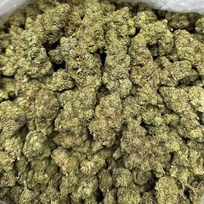 Hashburger THCa Flower (28g) 🍔⛽ | 28.51% THCa | Premium Ounce