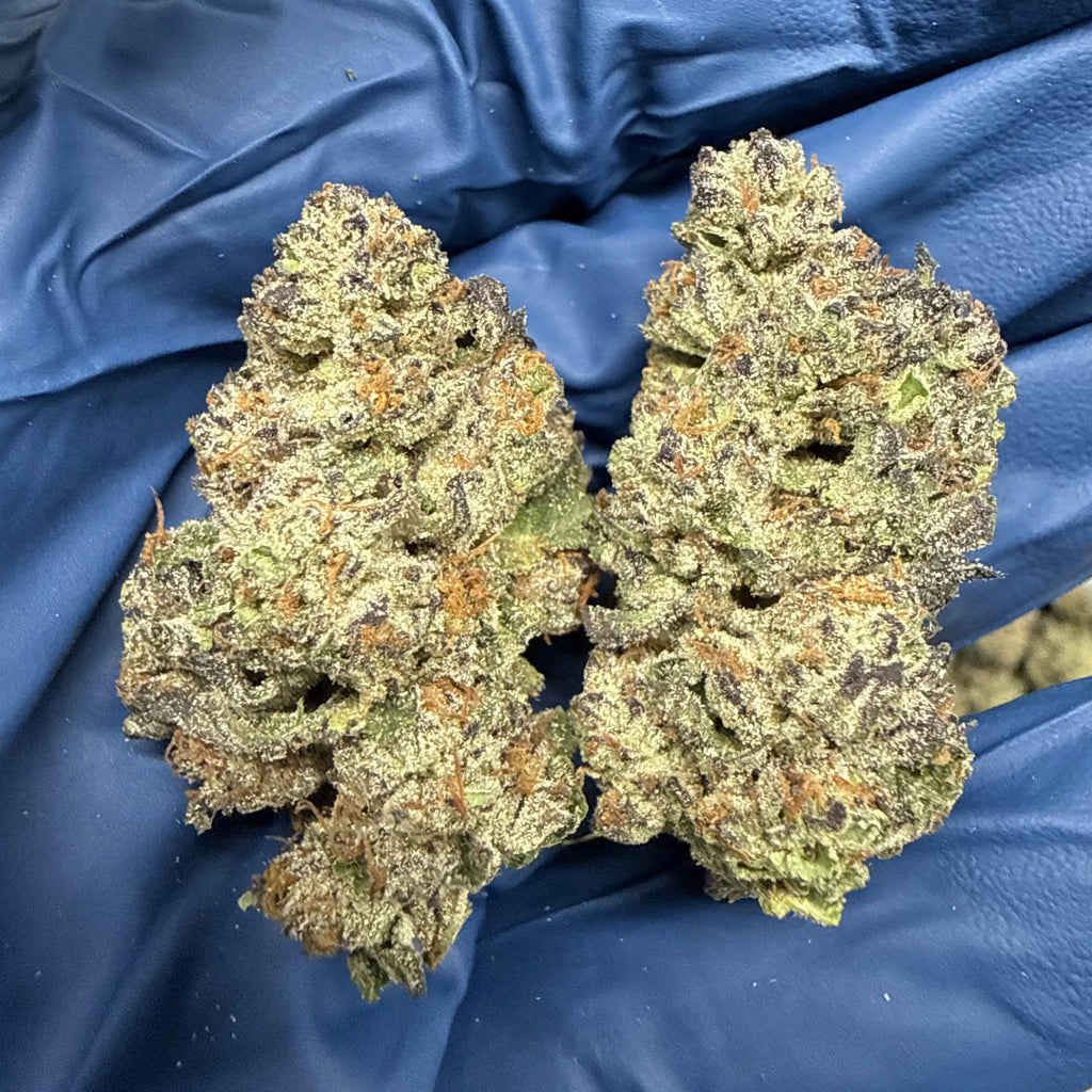 Ice Cream Cake THCa Flower – 32.67% THCa | Premium Indica 7g x 28g