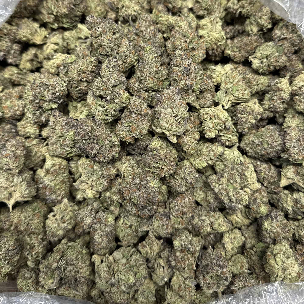 Ice Cream Cake THCa Flower – 32.67% THCa | Premium Indica 7g x 28g