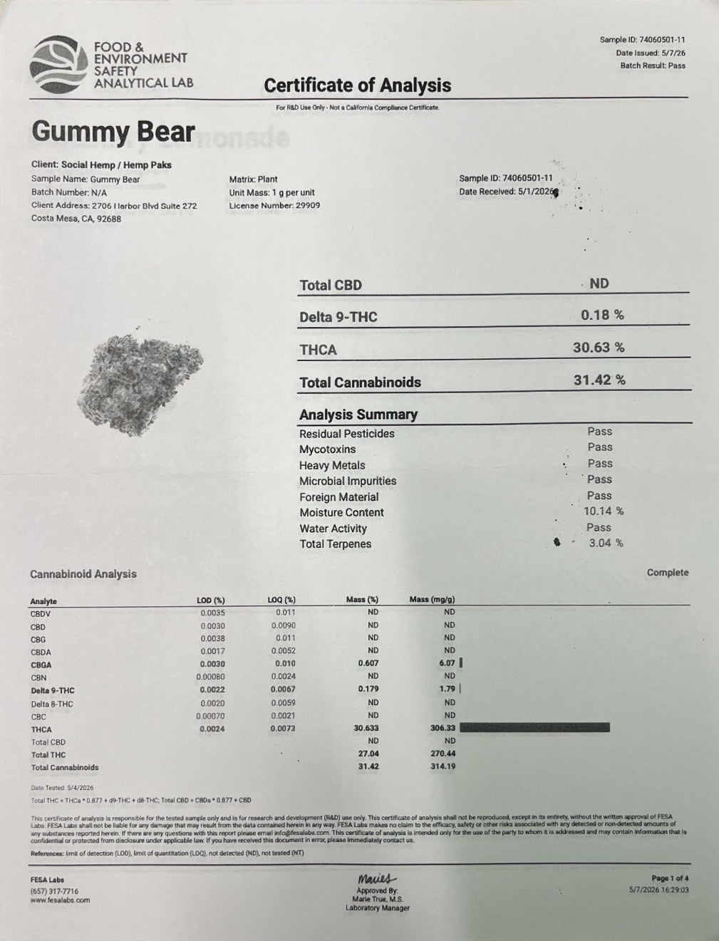 🍬 Gummy Bear Indoor THCa Flower 🌿 | Premium 28G Ounce | Sweet Candy & Fruity Terps 🔥