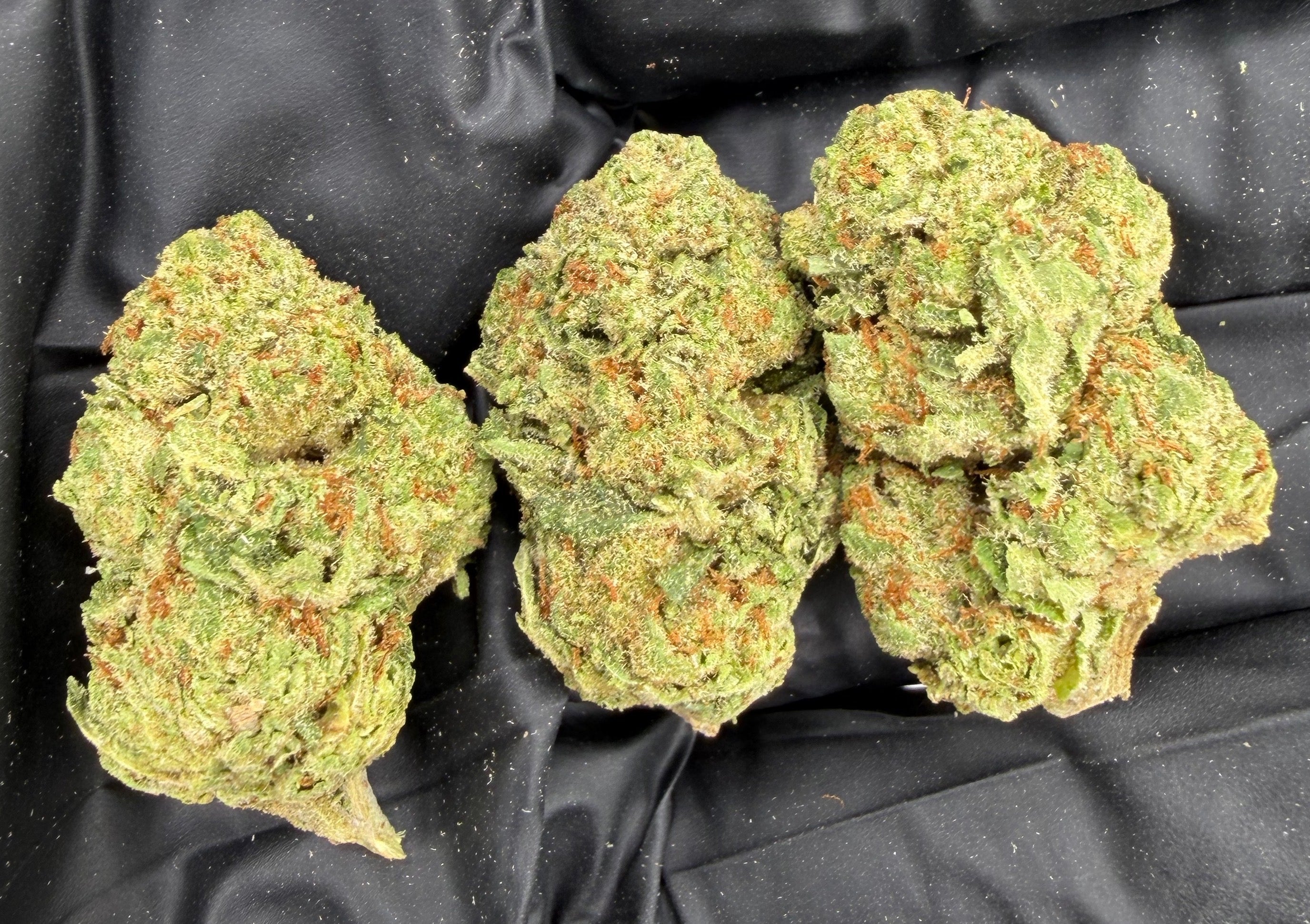 Gelato #41 THCa Flower | Premium Indoor Exotic Flower | Sunset Sherbet x Thin Mint GSC