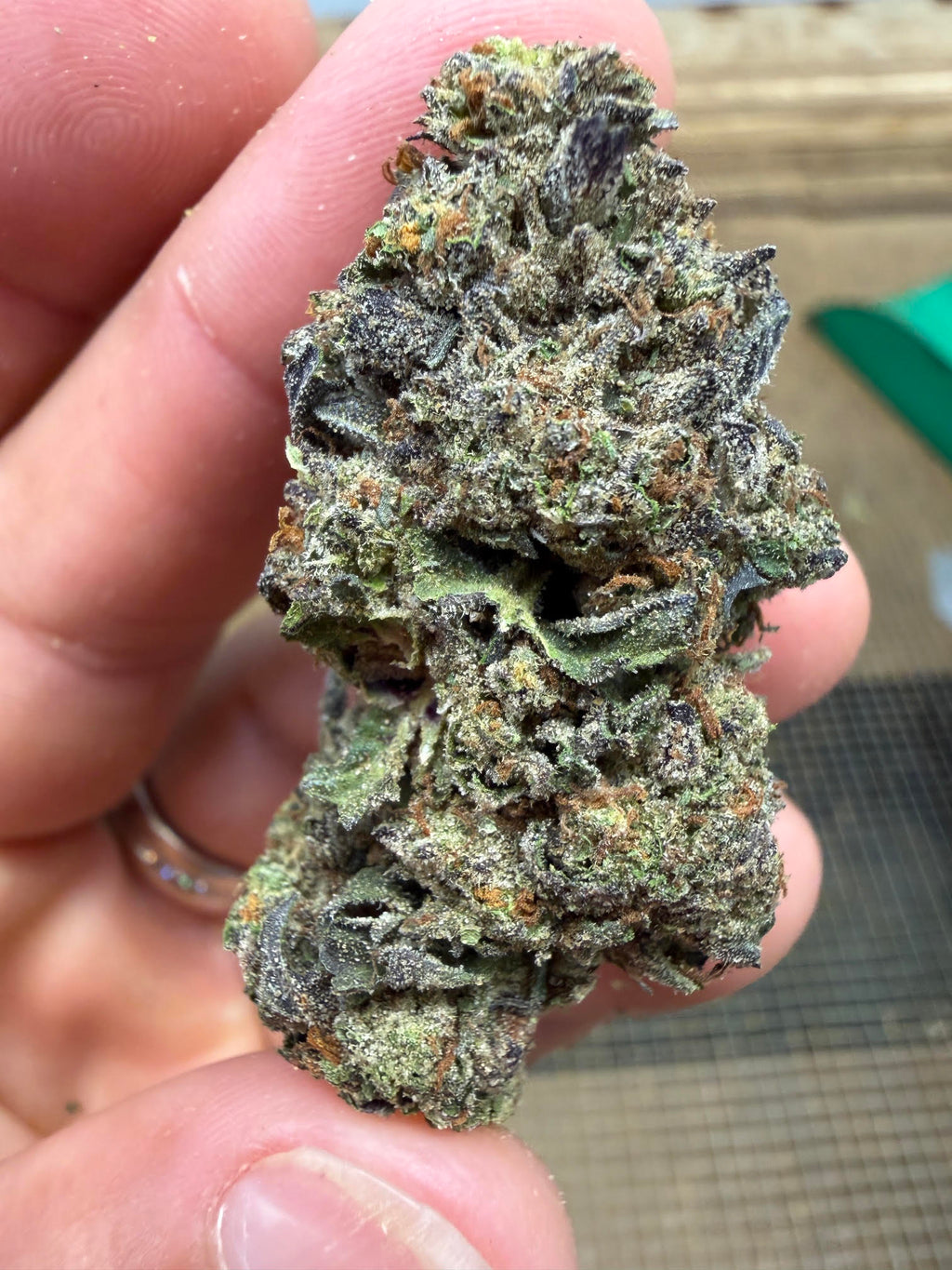 🍋🍒 Lemon Cherry Gelato THCa Flower 🍨🔥 | 30.778% THCa 🌿 Premium Exotic | 28 Gram