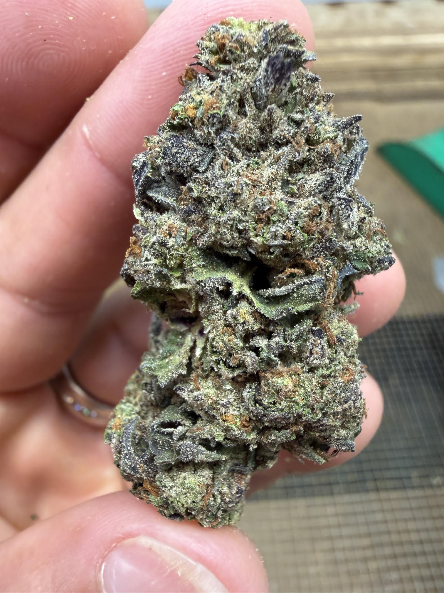 🍋🍒 Lemon Cherry Gelato THCa Flower 🍨🔥 | 30.778% THCa 🌿 Premium Exotic | 28 Gram