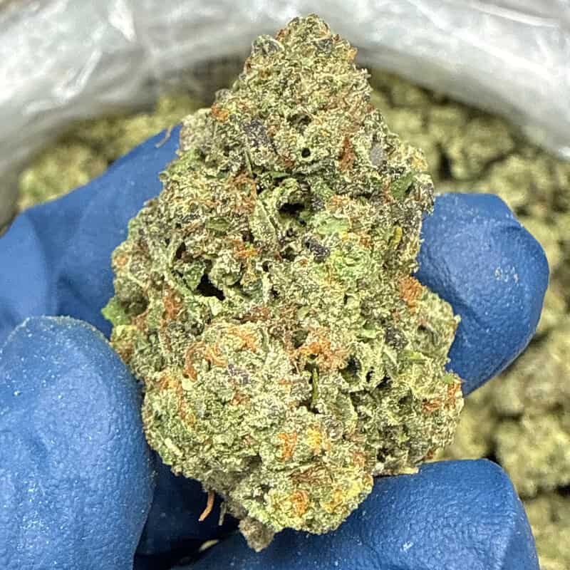 🍡🍨 Mochi THCa Flower 🌸🔥 | 28.138% THCa 💎 Premium Flower | 28 Gram
