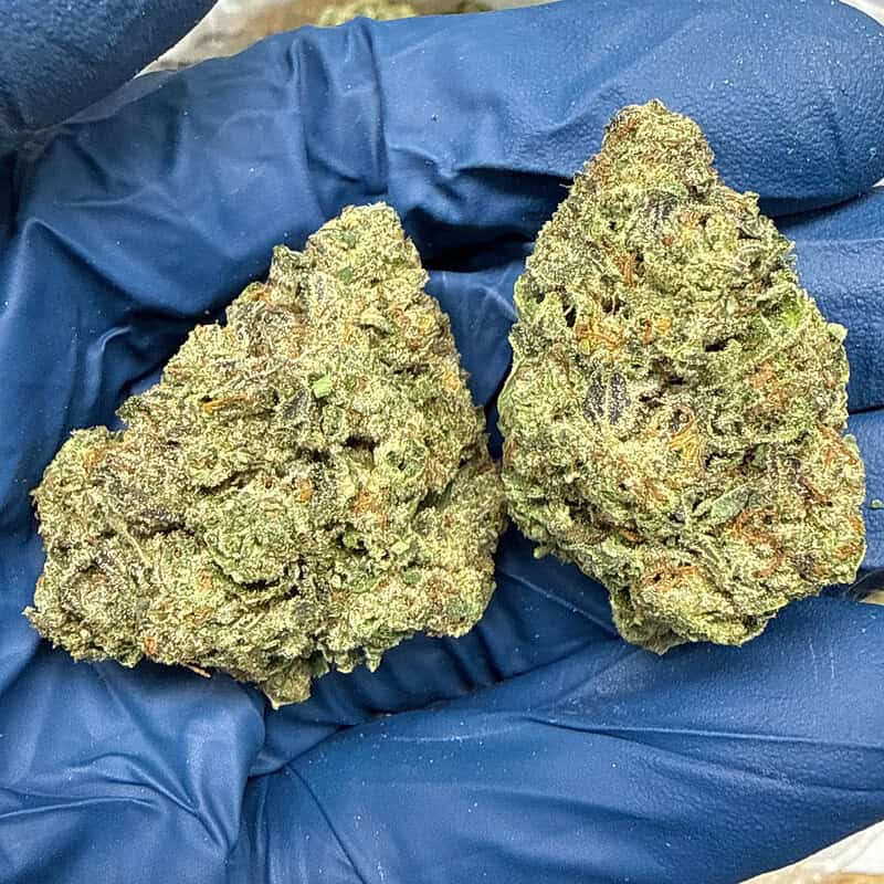 🍡🍨 Mochi THCa Flower 🌸🔥 | 28.138% THCa 💎 Premium Flower | 28 Gram