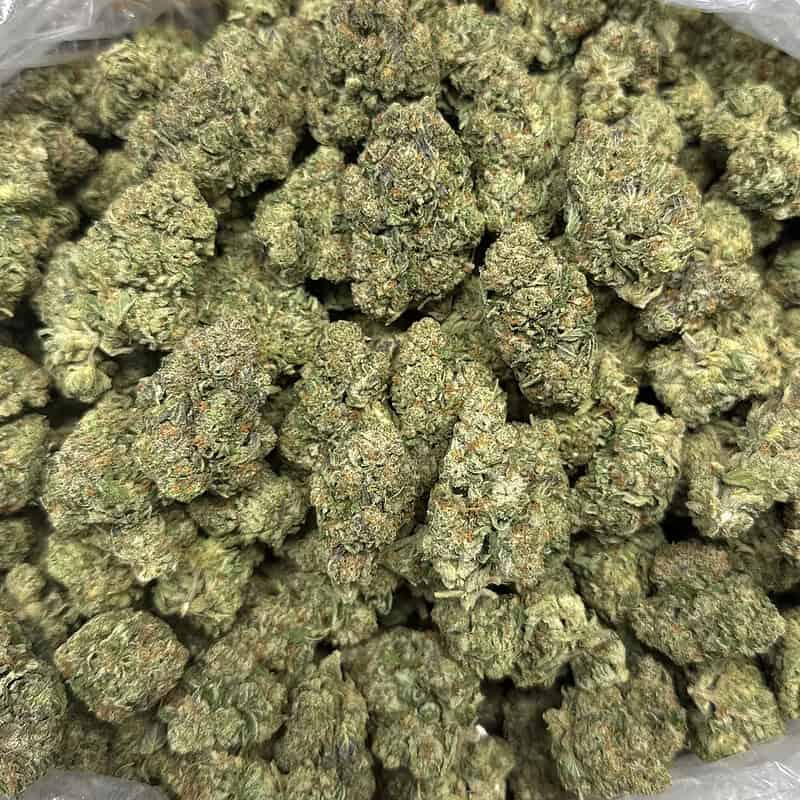🍡🍨 Mochi THCa Flower 🌸🔥 | 28.138% THCa 💎 Premium Flower | 28 Gram