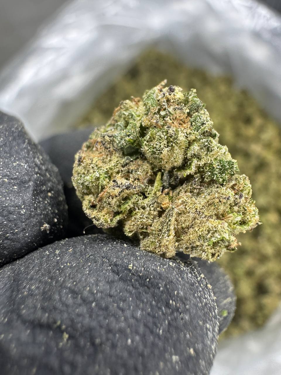 Mule Fuel Top Shelf Smalls – Premium THCa Flower (1 Pound Bulk) | Exotic LB Deal