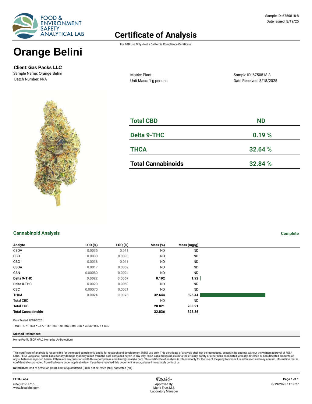 Pierx Supply Orange Bellini (INDOOR EXOTICS)