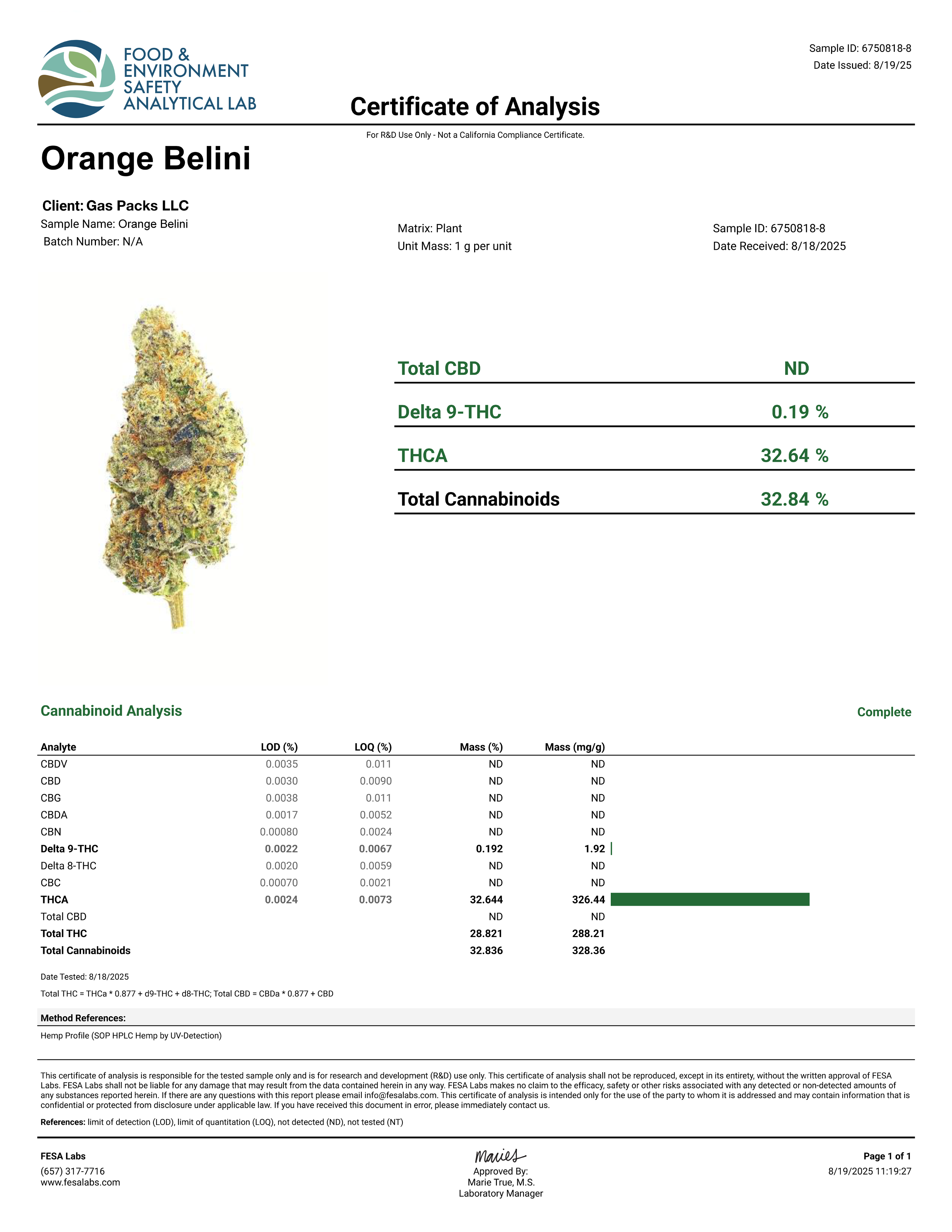 Pierx Supply Orange Bellini (INDOOR EXOTICS)