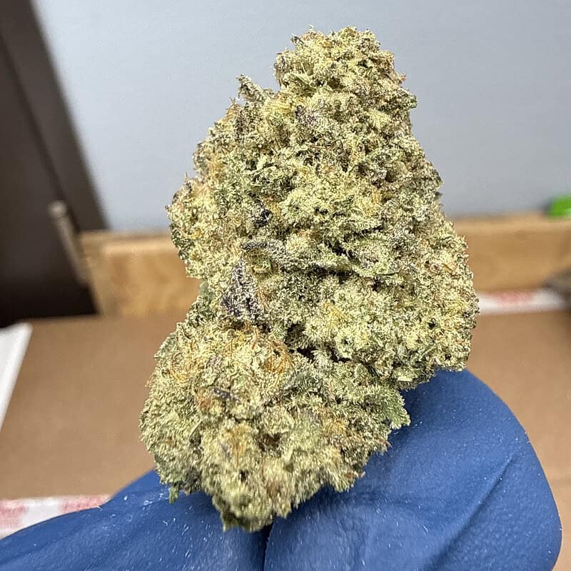 Oreoz THCa Flower (28g) 🍪🔥 | 31.24% THCa | Cookies & Cream x Secret Weapon | Premium Ounce