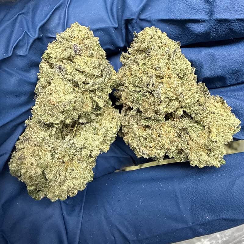 Oreoz THCa Flower (28g) 🍪🔥 | 31.24% THCa | Cookies & Cream x Secret Weapon | Premium Ounce