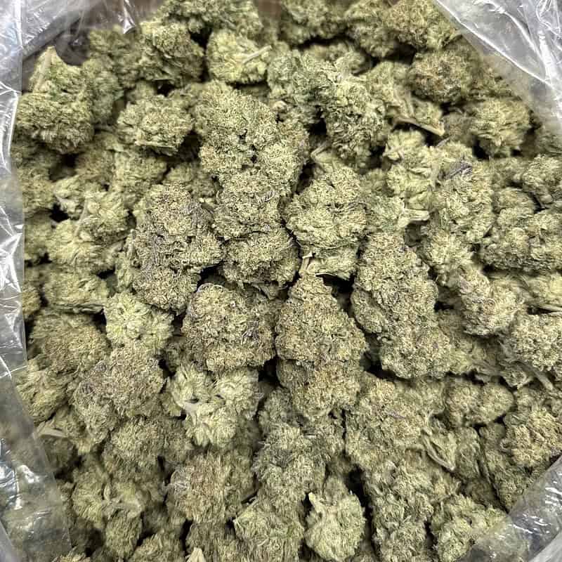 Oreoz THCa Flower (28g) 🍪🔥 | 31.24% THCa | Cookies & Cream x Secret Weapon | Premium Ounce