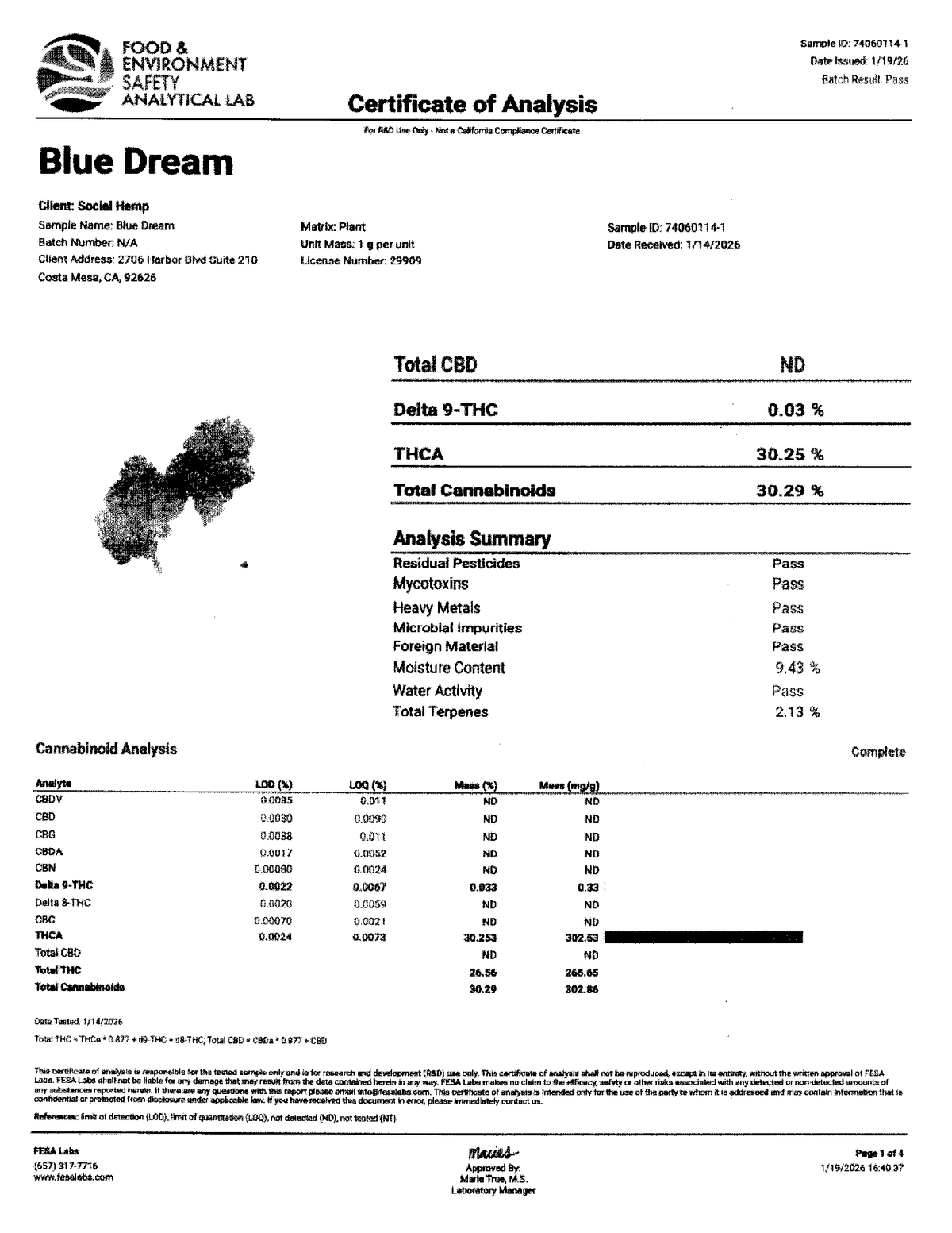 🫐 Blue Dream Indoor THCa Flower – 30.25% THCa | Premium 28G Ounce 💎🌿