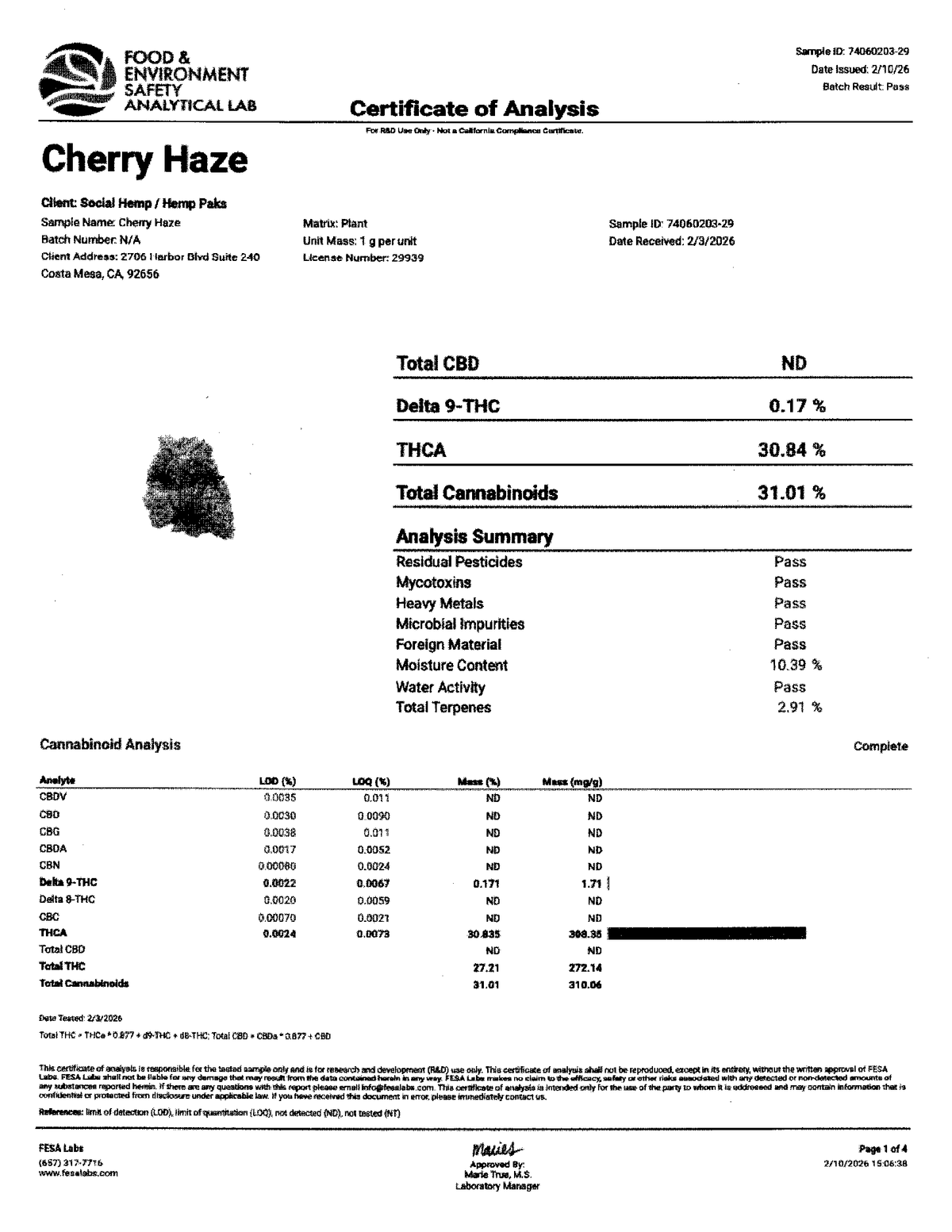 🍒💜 Cherry Haze | 28G/14G Premium Indoor THCa Flower | 30.84% THCa 🔥💎